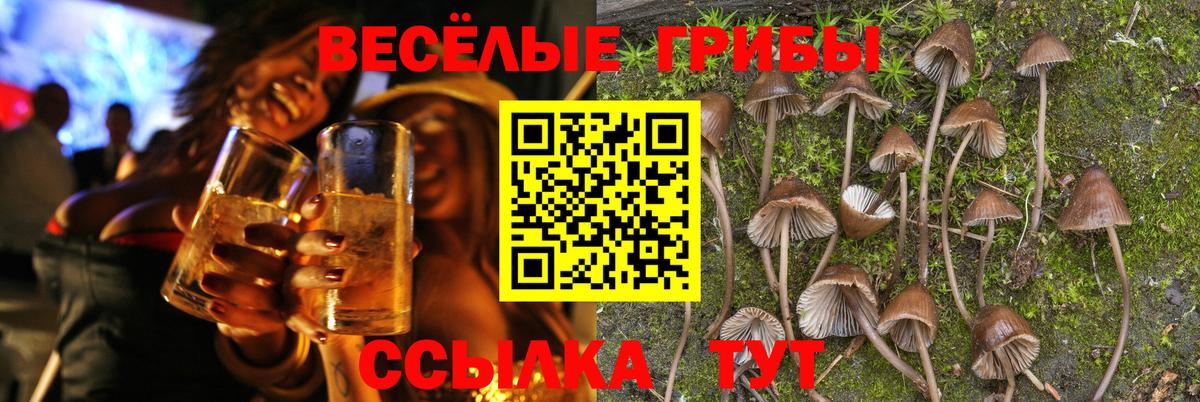 Галлюциногенные грибы ЛСД  Вход с VPN  Медногорск  Галлюциногенные грибы MAGIC MUSHROOMS 